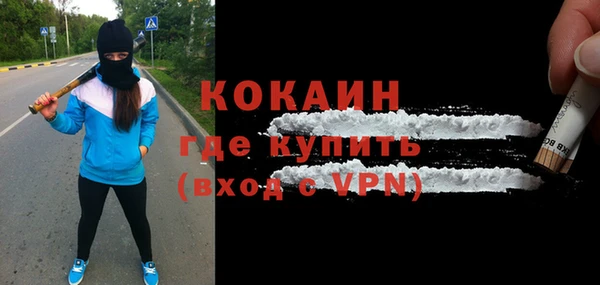твердый Чекалин