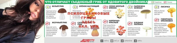 твердый Чекалин
