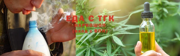 твердый Чекалин