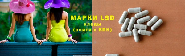 твердый Чекалин