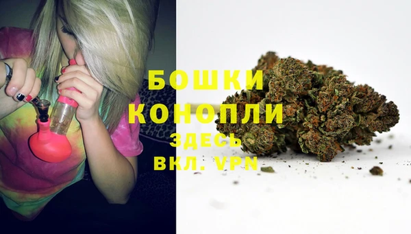 твердый Чекалин