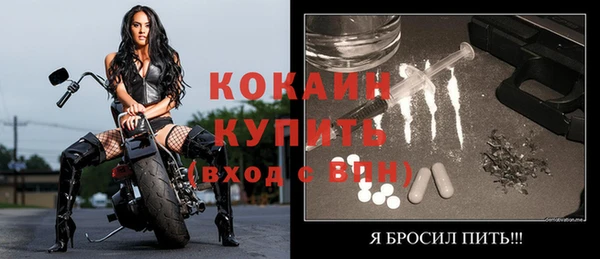 твердый Чекалин