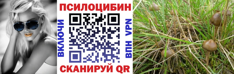 Псилоцибиновые грибы GOLDEN TEACHER  где продают наркотики  Калач-на-Дону 