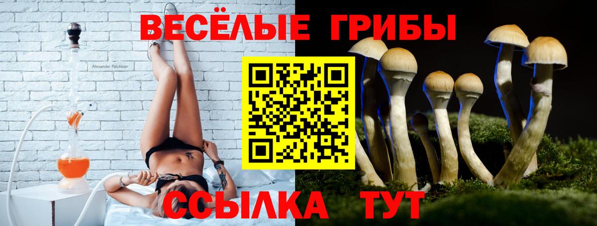 Галлюциногенные грибы Psilocybe  Псилоцибиновые грибы мухоморы  Калач-на-Дону  Вход с VPN 